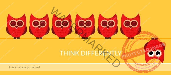 Life Coaching Think differently owls