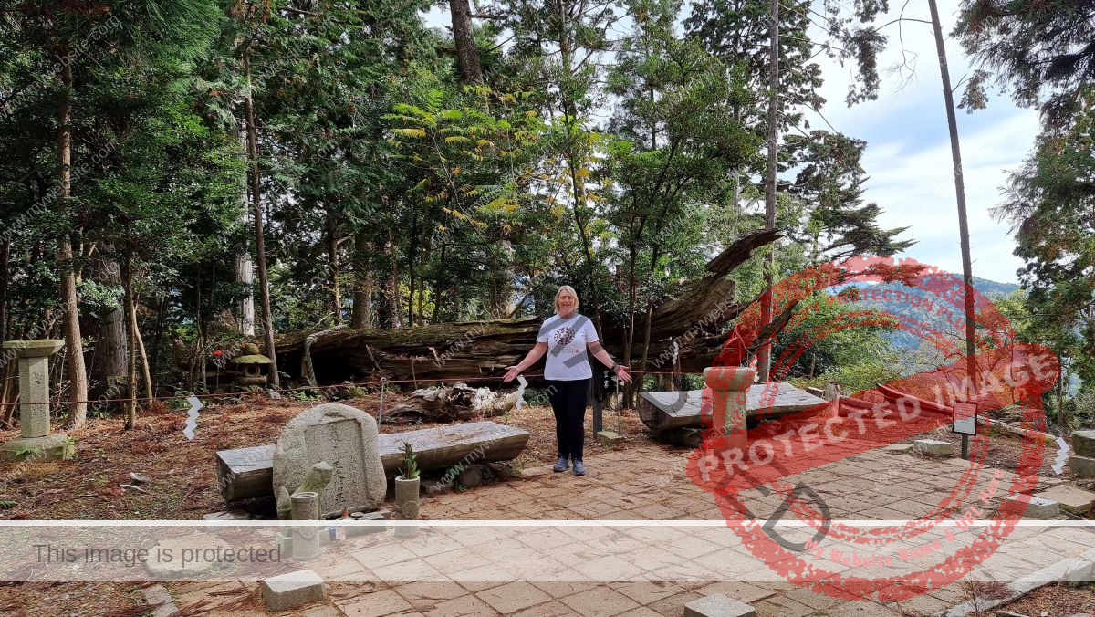 Diana Fels Osugi Gongen Mount Kurama Kyoto Japan