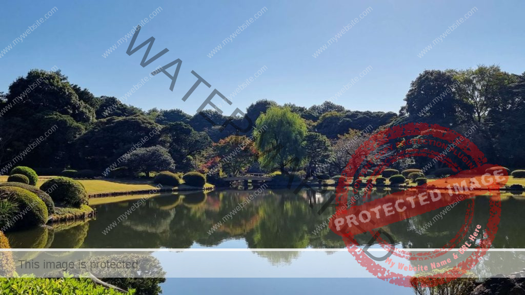 Reflections on water Gyoen Park Tokyo Japan PTSD and EMDR Queen of Denial