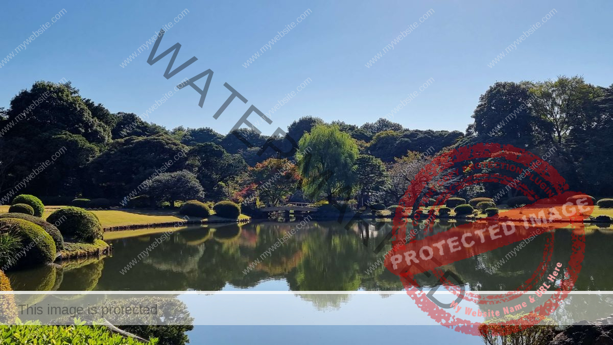 Reflections on water Gyoen Park Tokyo Japan PTSD and EMDR Queen of Denial