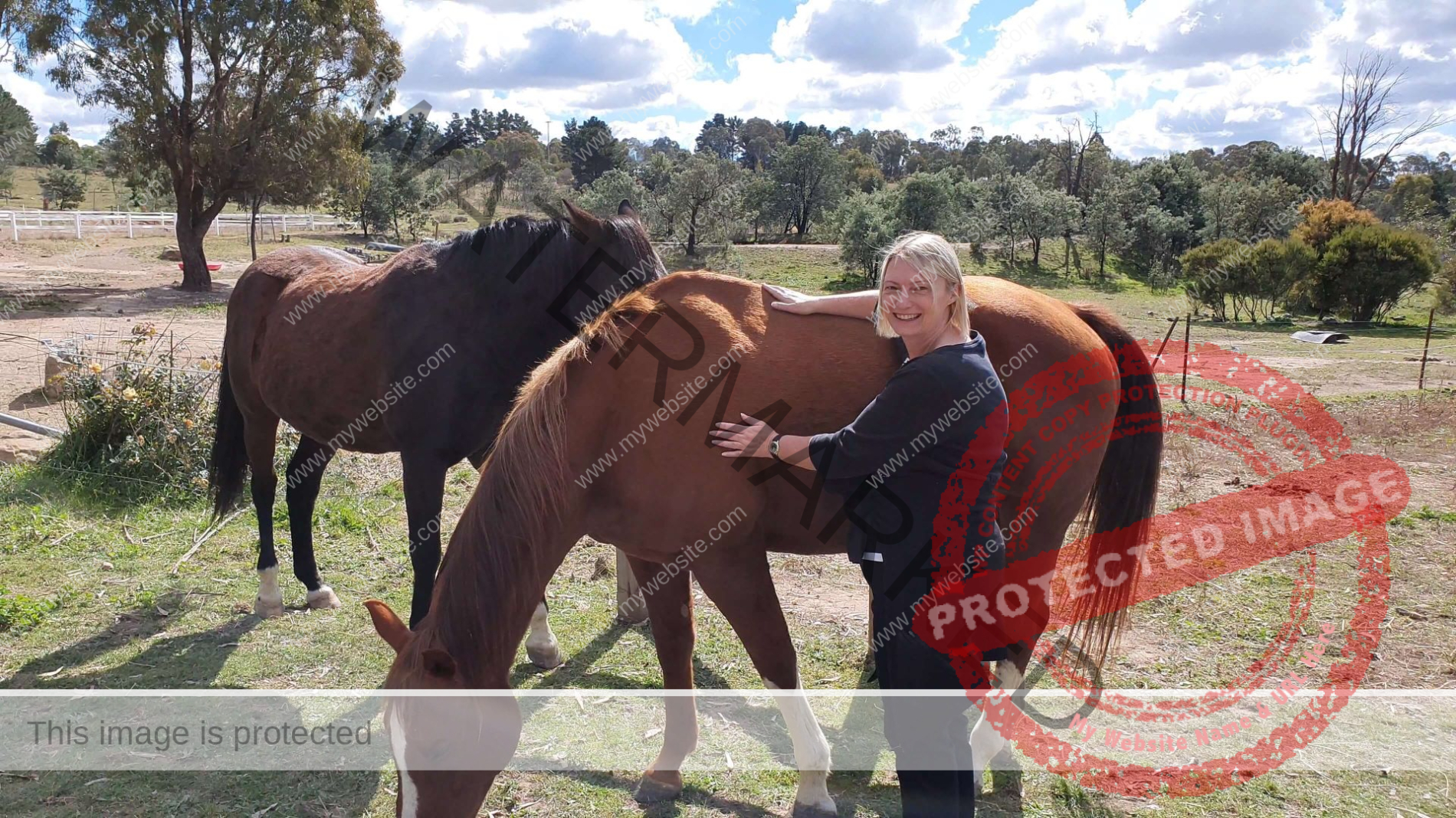 Diana Fels reiki healing horses Diana Fels reiki healing horses